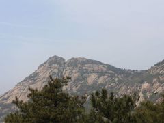 -鲁山国家森林公园