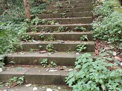 -北仑森林植物园