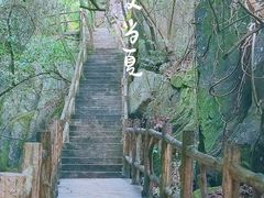 -南丹山森林王国