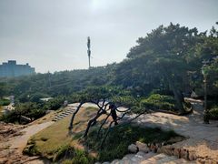 -青岛第二海水浴场