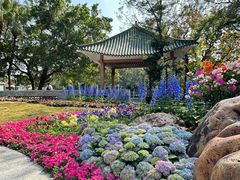 -荔湾湖公园