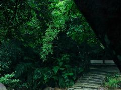 -广州白江湖森林公园