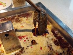 -小牛叔鲜切牛肉·火锅·烤肉自助(公济桥路店)