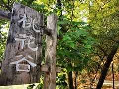 -中山市树木园