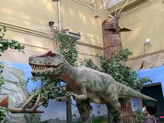 -国家自然博物馆