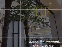 -椰子日记(世欧广场店)