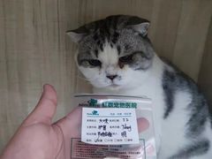 -虹泰宠物医院 ·旗舰店·24h(南秀路店)