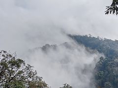 -云南屏边大围山国家公园
