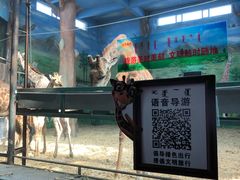 -鄂尔多斯野生动物园