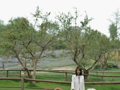 -秀丽东方