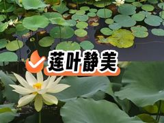 -四海公园(南山区)