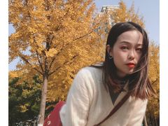 -西北湖绿化广场