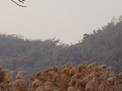 -东钱湖旅游度假区