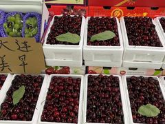 -沈阳市八家子水果批发市场