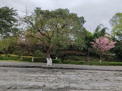 -安仁古镇