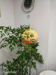 -变美丽半永久纹眉连锁·机器野生眉·洗眉