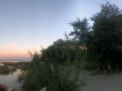 -呼兰河口湿地公园