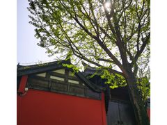 -都江堰景区