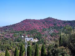 -青龙山生态文化旅游区