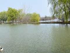 -西安浐灞国家湿地公园