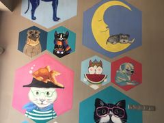 -MOLLY'S萌宠生活馆