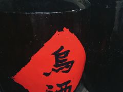 -乌镇景区