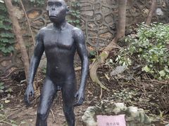 -北京周口店北京人遗址博物馆