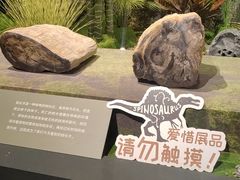 -遇见博物馆(遇见海洋沉浸式奇幻光影展)