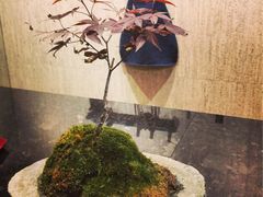-Seesaw Coffee(环贸iapm店)