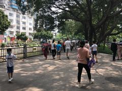 -晓港公园