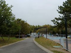 -莫子山公园