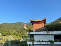 -深圳仙湖植物园