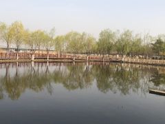 -绿堤公园