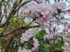 -海棠花溪(元大都城垣遗址公园)
