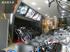 -道路口单车爱瓦士dahon大行