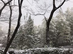 -天目湖涵田半山温泉