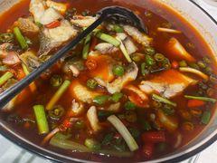 -尽膳·鱼鲜川菜(宽窄巷子店)