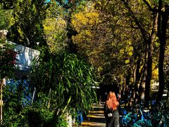 -婕妮璐超市 Jenny Lou’s Shop(三里屯店)