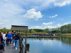 -溱湖国家湿地公园