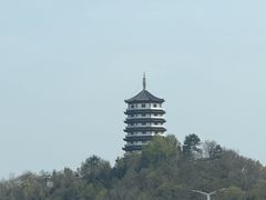 -万佛湖许老大铁锅鱼(黑金冠店)