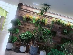 -查特花园美食广场(西单大悦城店)