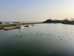 -贡湖湾湿地公园