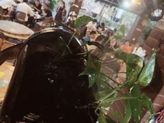 -基诺山寨.版纳民族特色菜