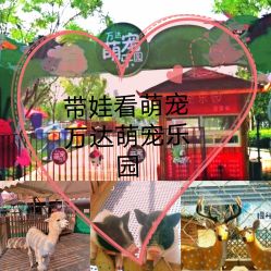 -萌宠亲子动物乐园(槐房万达店)