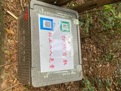 -梧桐山风景名胜区