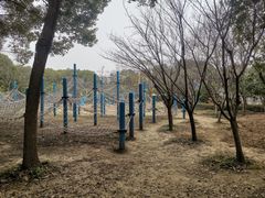 -长广溪湿地公园