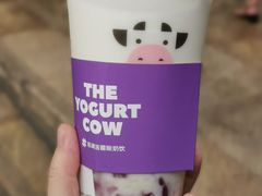 -一只酸奶牛(春熙路店)