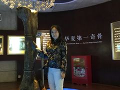 -诸城市恐龙博物馆