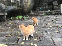 -北京凤凰岭
