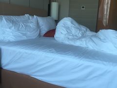 -北京广安门维景国际大酒店